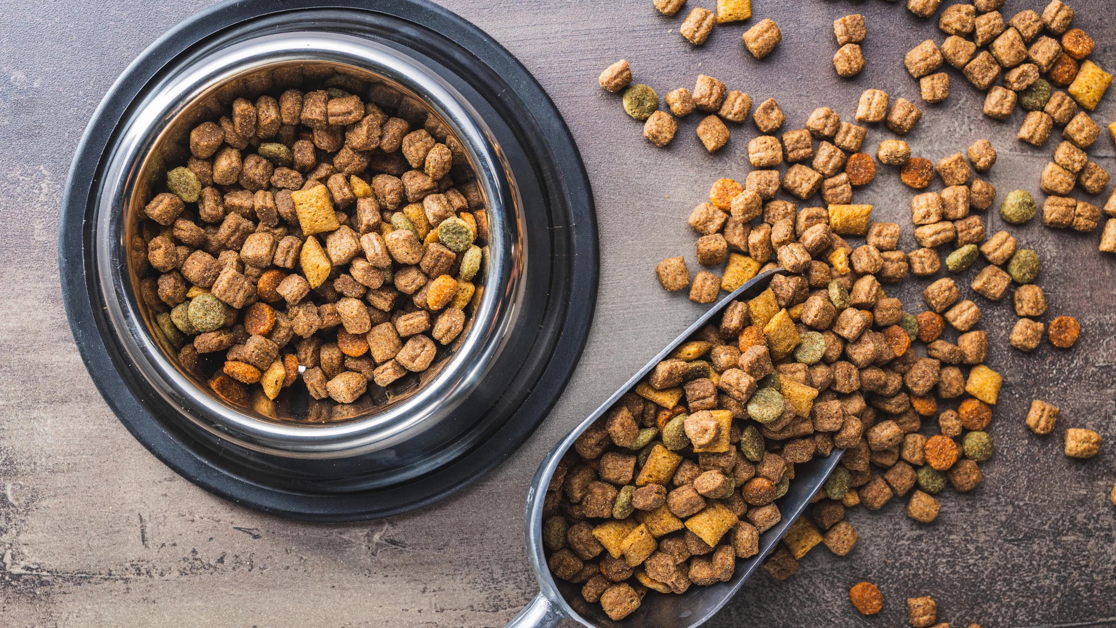 Dry pet food in a bowl with some scattered beside it.