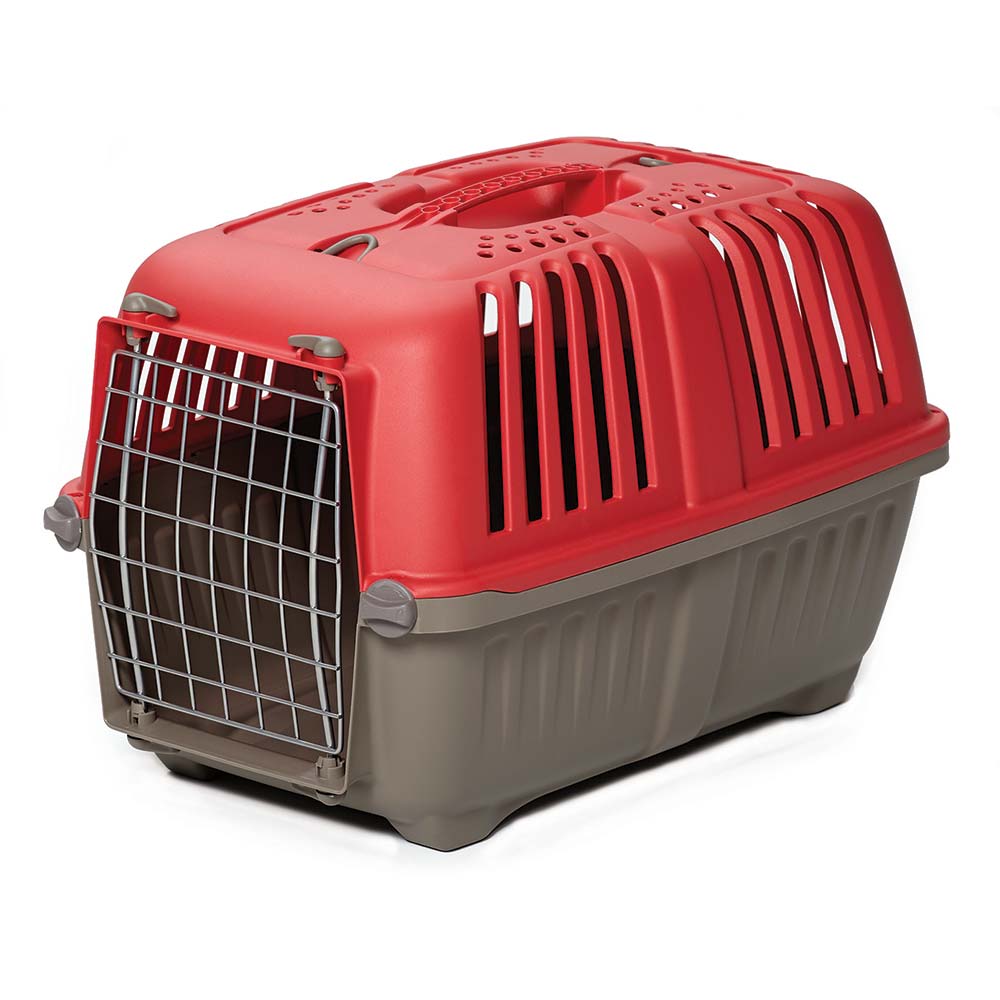 Spree Plastic Pet Carrier