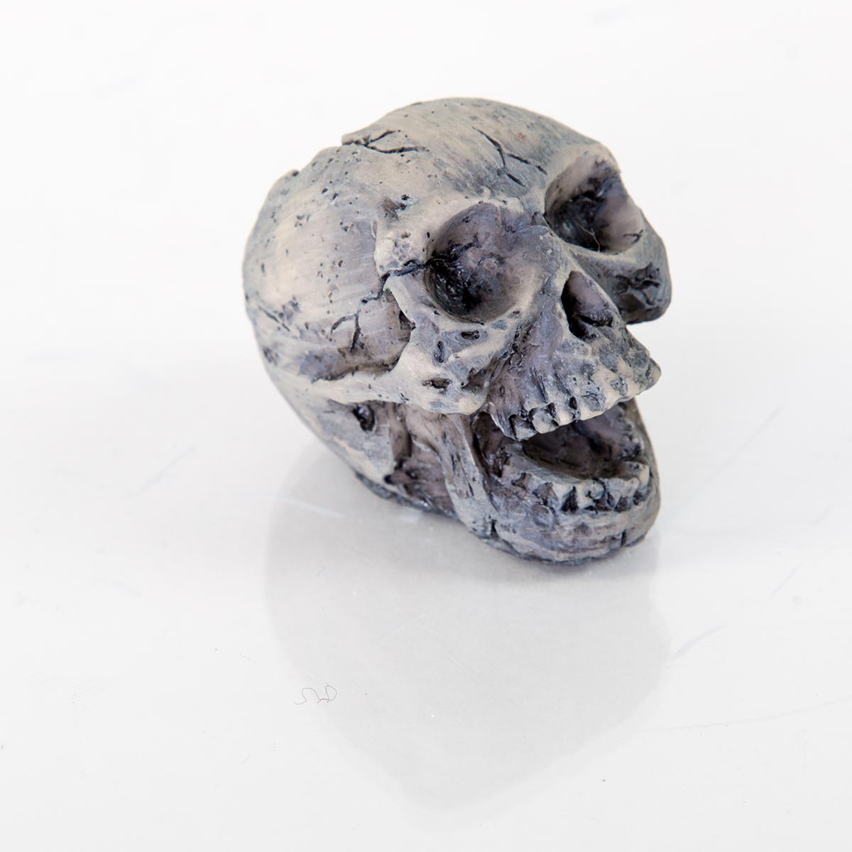 BioBubble Decorative Human Skull Small, 2x1x2 Inches