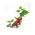 BioBubble Decorative Ficus Medium, Green, 8.75x4x13.5 Inches