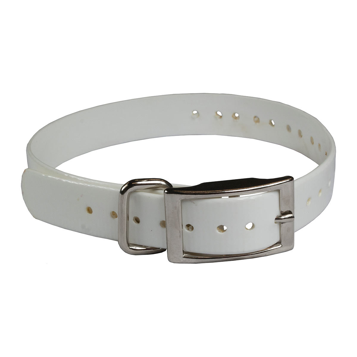 Replacement Collar Strap 3/4"