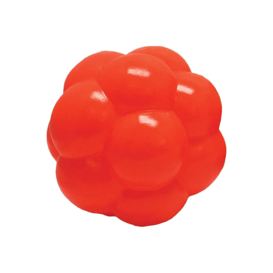 Soft Flex Molecule Dog Toy