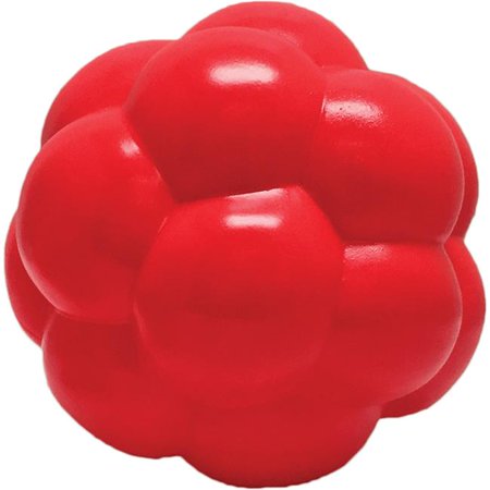 Soft Flex Molecule Dog Toy