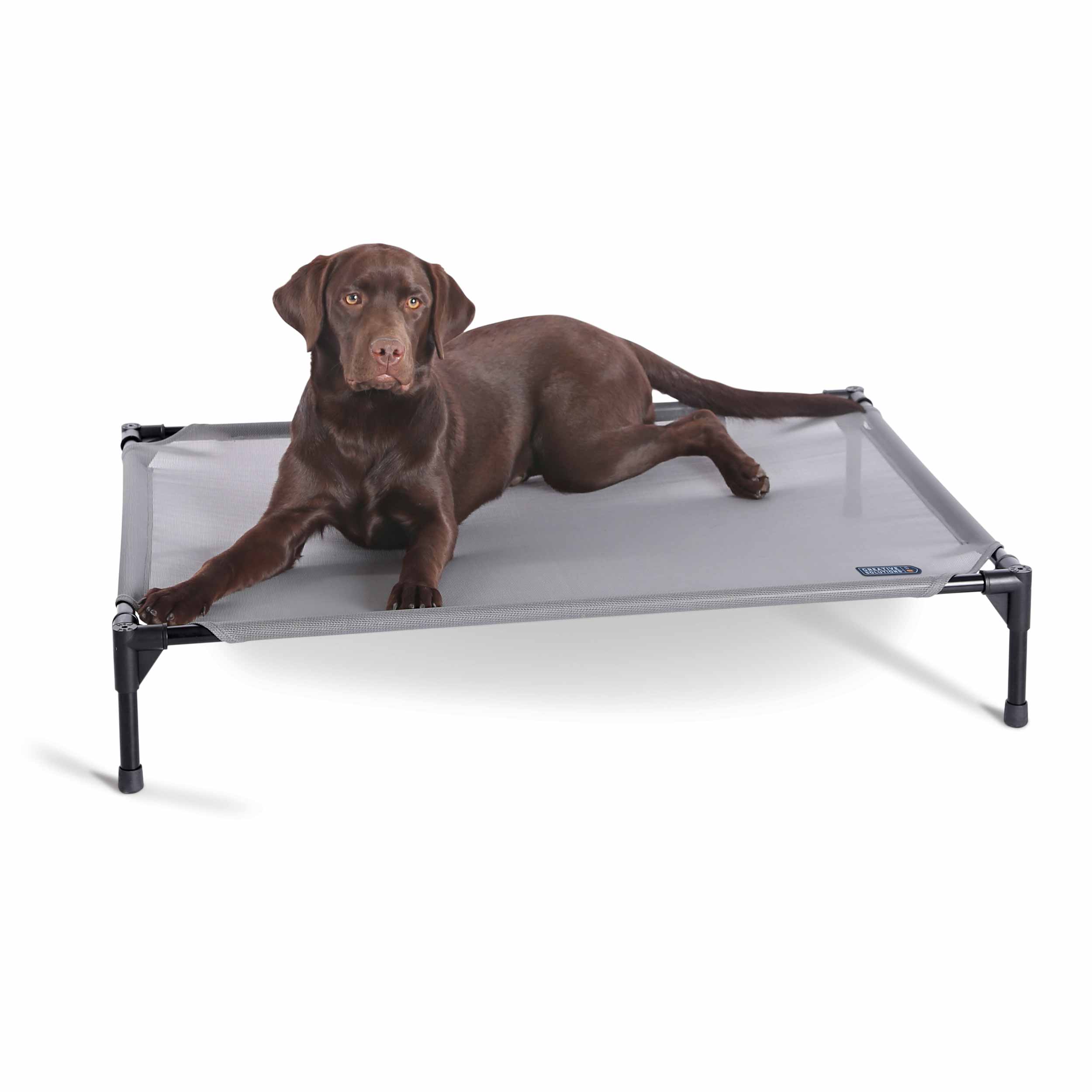 All Weather Pet Cot - Large