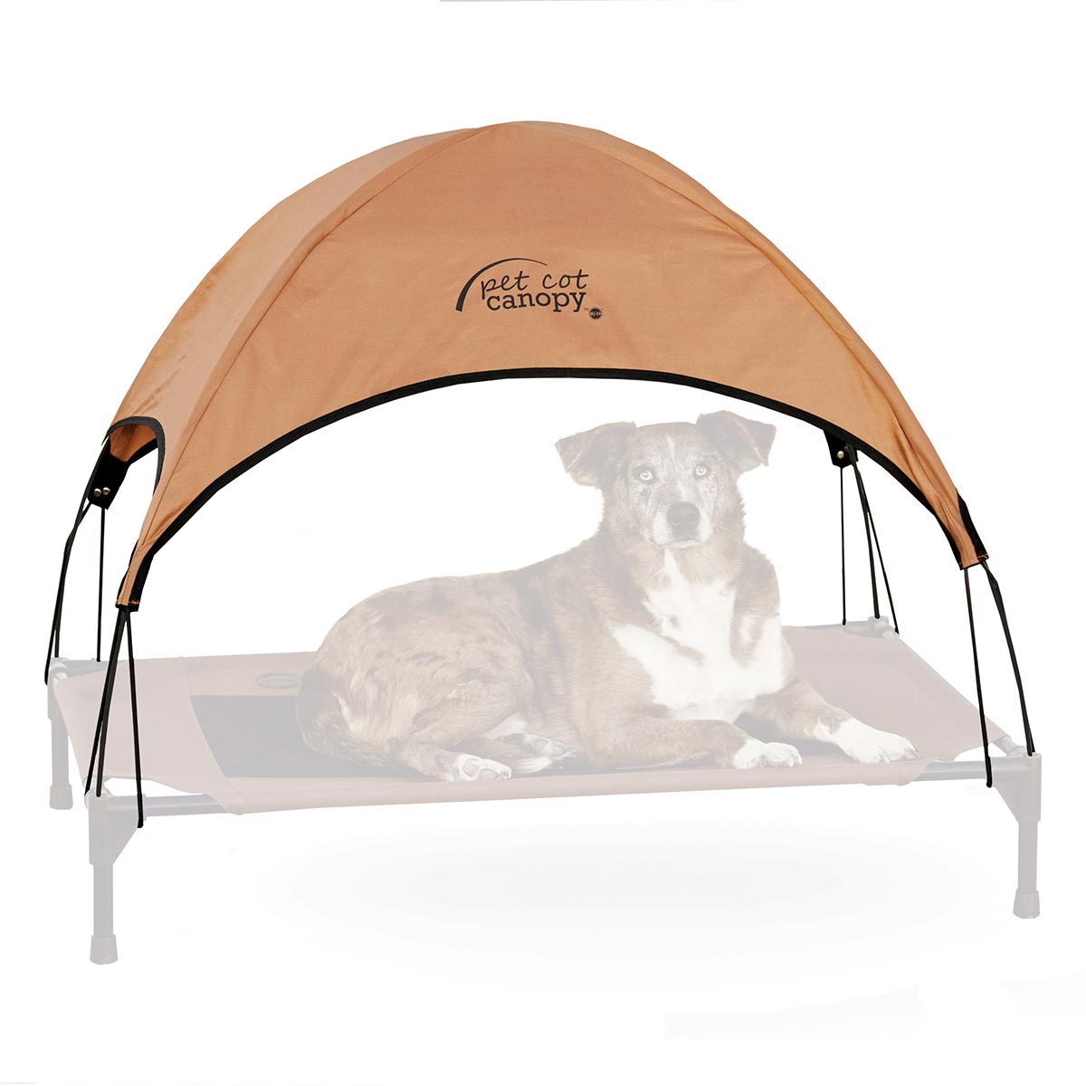 Pet Cot Canopy