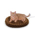 Thermo-Kitty Fashion Splash Bed