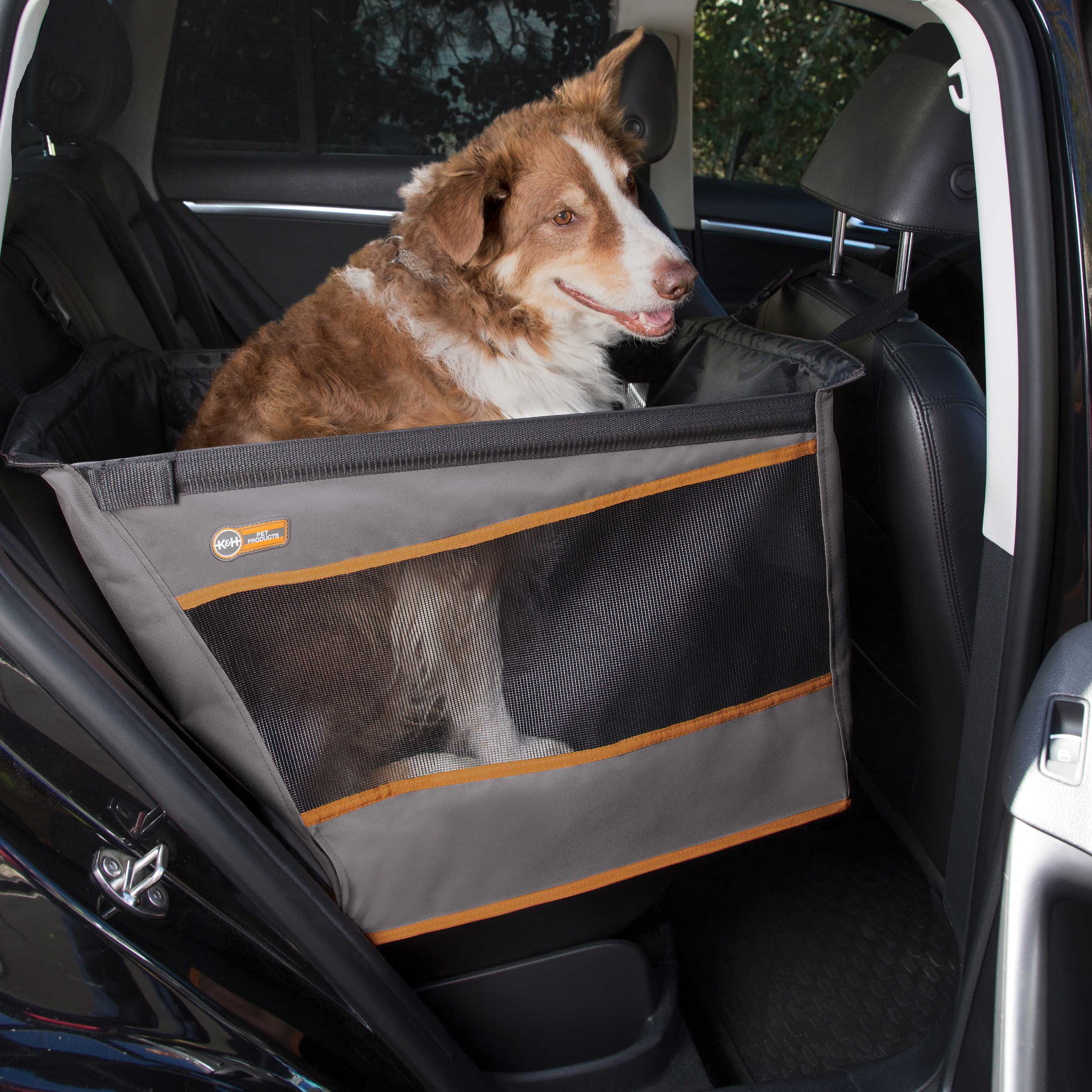 Buckle n' Go Pet Seat