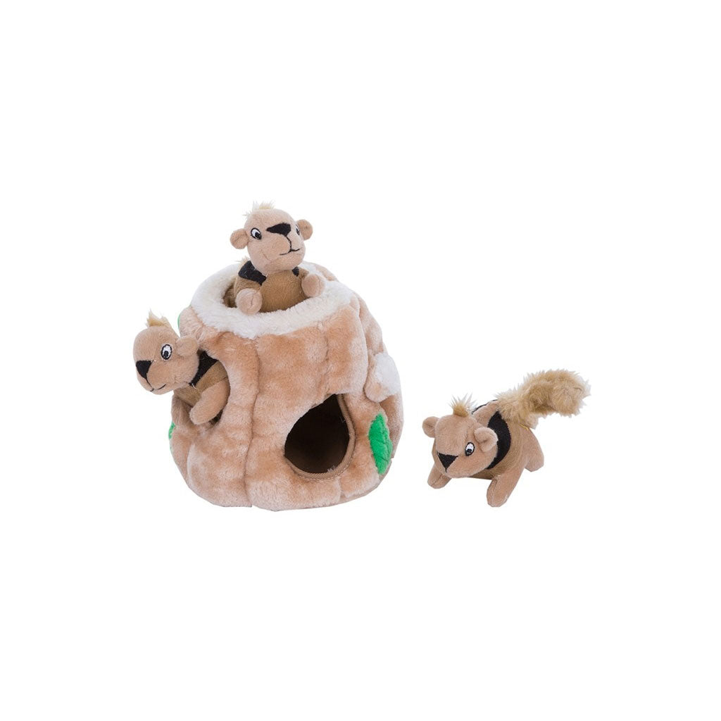 Hide-A-Squirrel Dog Toy