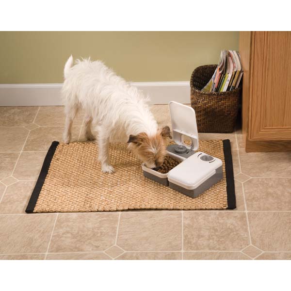 PetSafe 2 Meal Pet Feeder, Gray