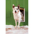 Extreme Weather Pet Door