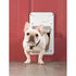 SmartDoor Dog Door