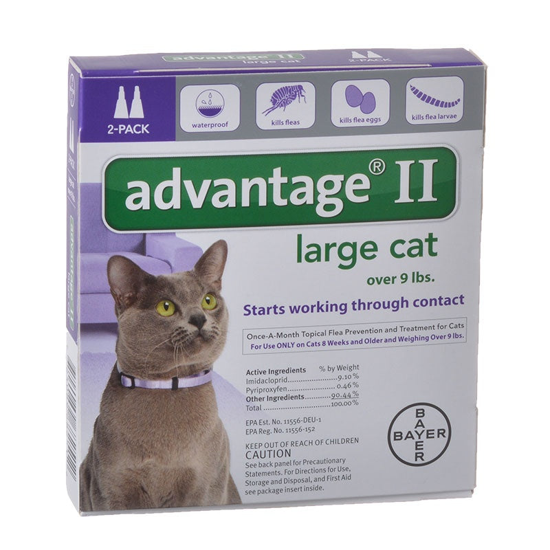 Flea Control for Cats and Kittens Over 9 lbs 2 Month Supply